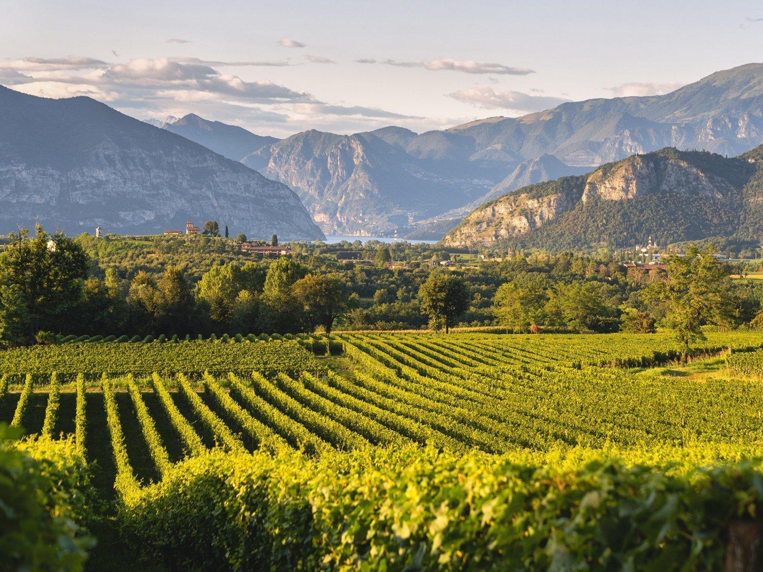 La Corte Del Bona - Vicino Alle Cantine E A Circa 15 Minuti Dal Lago Di Iseo - Lejlighed Erbusco Eksteriør billede
