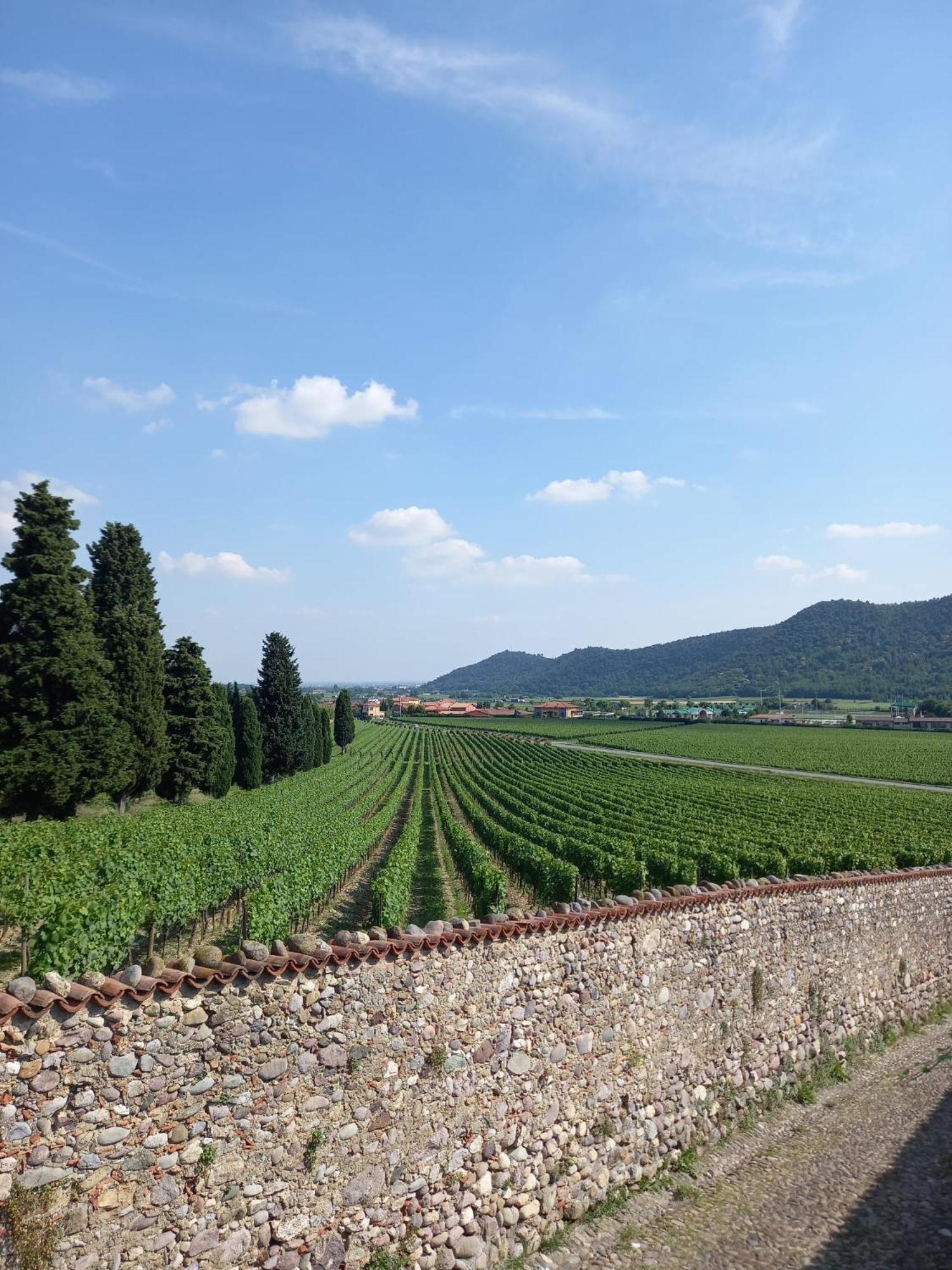 La Corte Del Bona - Vicino Alle Cantine E A Circa 15 Minuti Dal Lago Di Iseo - Lejlighed Erbusco Eksteriør billede